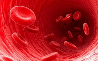 Belgische wetenschappers vinden schuilplaats hiv-restvirus