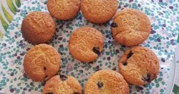 Blueberry muffins